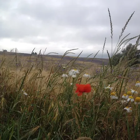 Haus Vineta * Thiessow