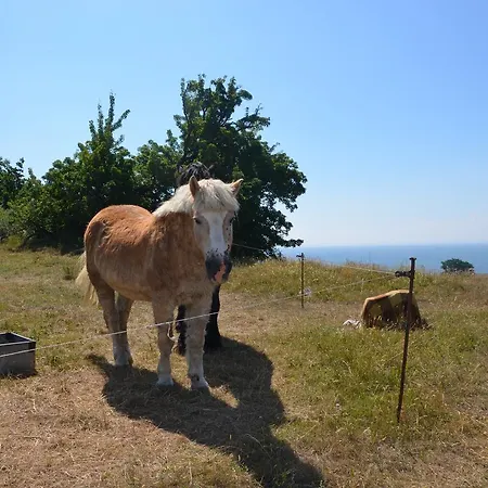 Haus Vineta Apartman *